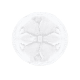 Absorvente para Seios Lolly 30 Unidades Com Fita Adesiva