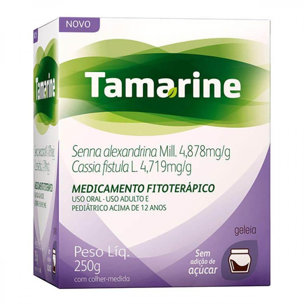 Tamarine Gel 250G - Drogaria Poupa Centro